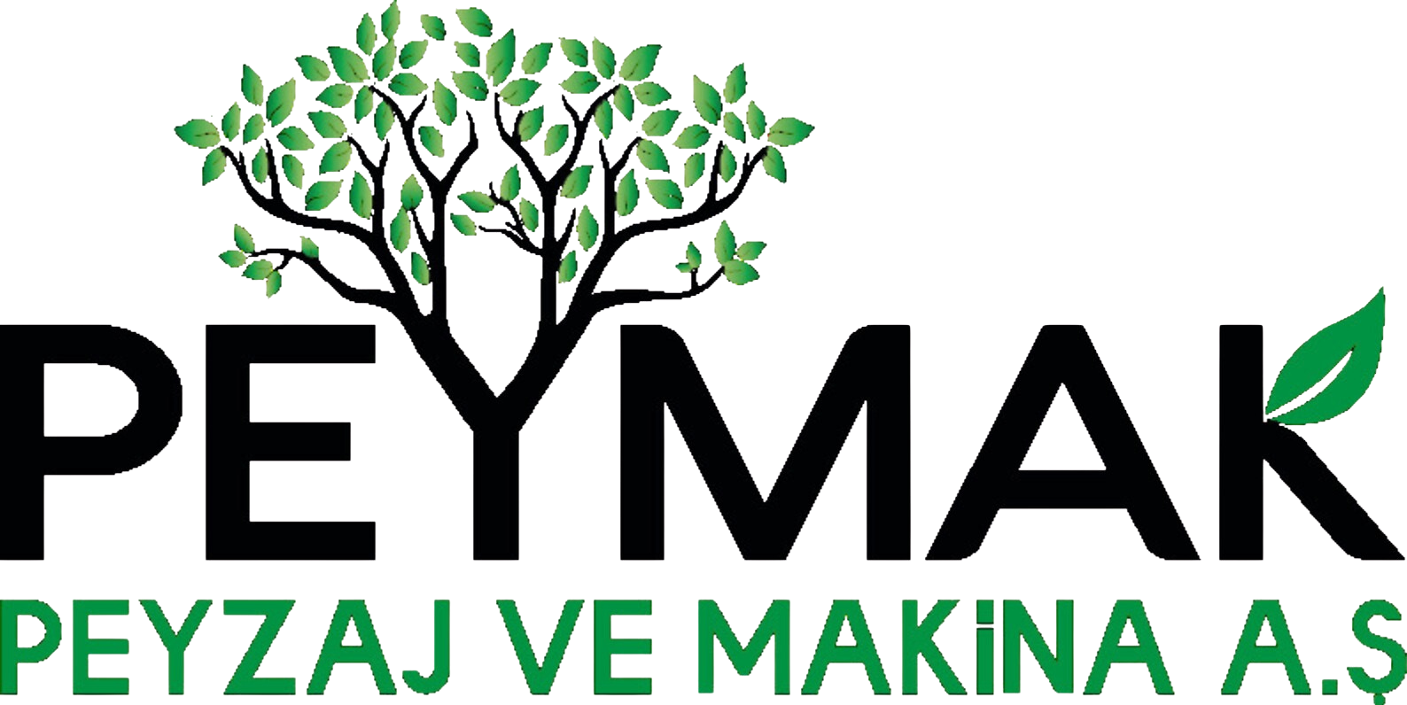 Peymak Peyzaj