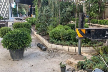 Elysium Ada